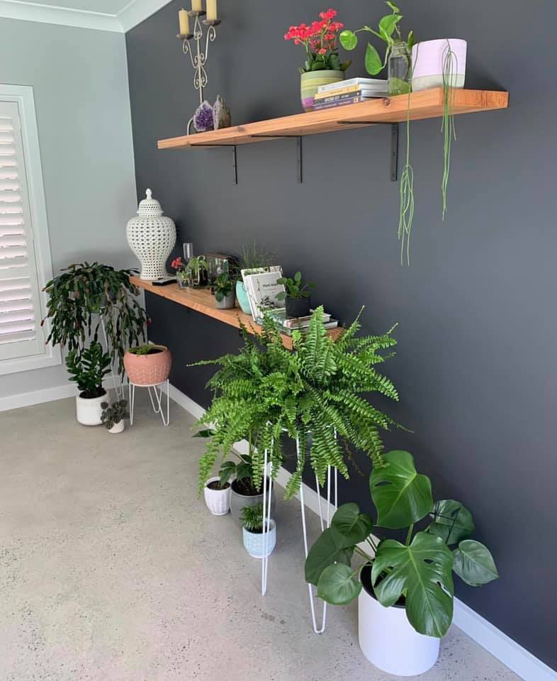 Timber Shelves - floating or add brackets - Image 4
